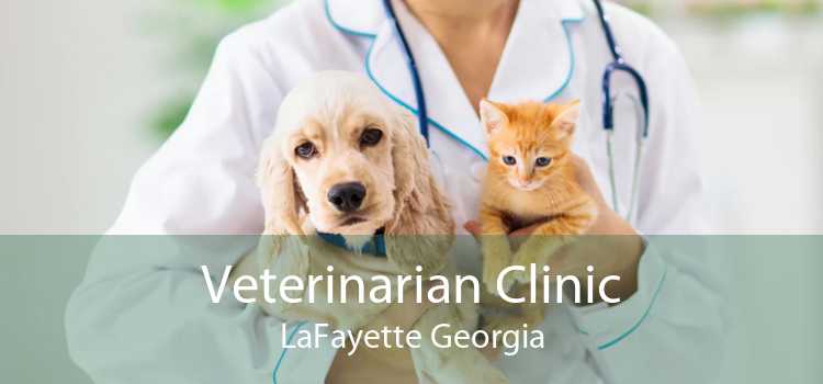 Veterinarian Clinic LaFayette Georgia