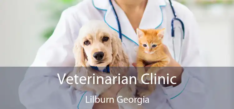 Veterinarian Clinic Lilburn Georgia