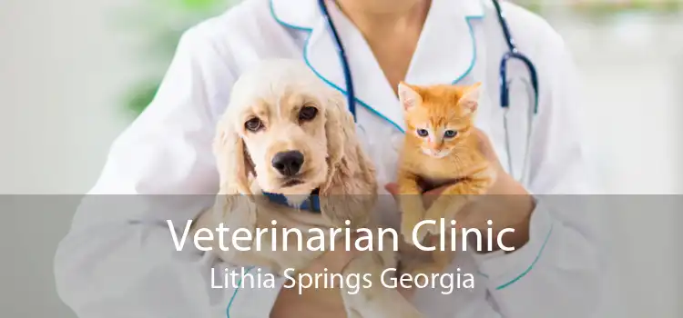 Veterinarian Clinic Lithia Springs Georgia