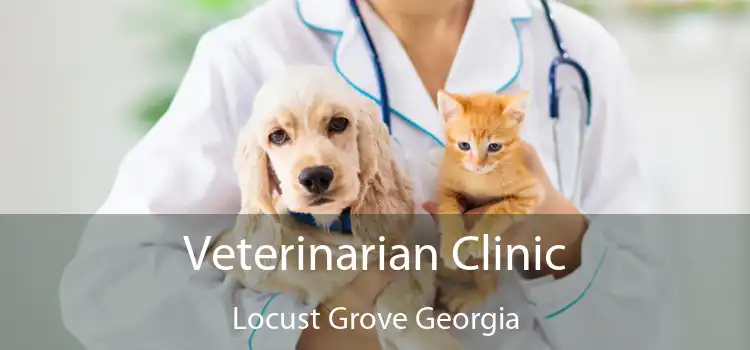 Veterinarian Clinic Locust Grove Georgia