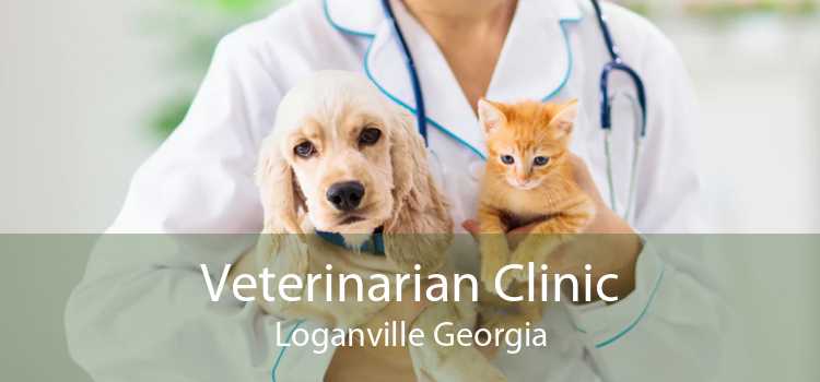 Veterinarian Clinic Loganville Georgia
