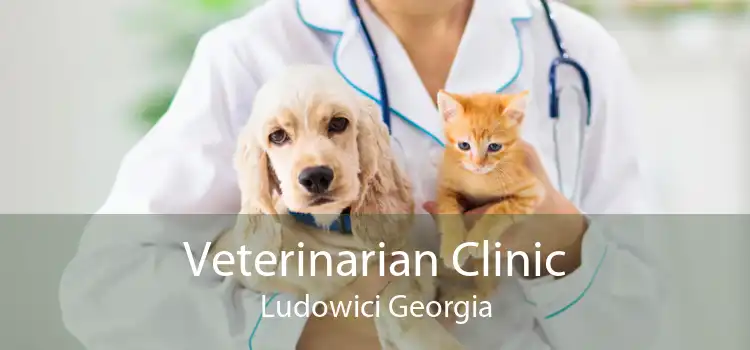 Veterinarian Clinic Ludowici Georgia