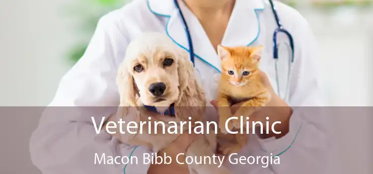 Veterinarian Clinic Macon Bibb County Georgia