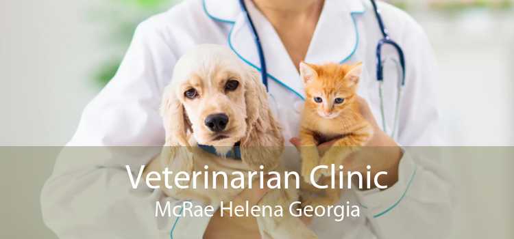 Veterinarian Clinic McRae Helena Georgia