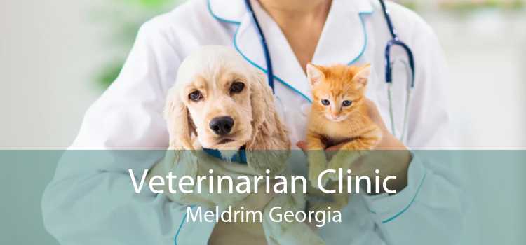 Veterinarian Clinic Meldrim Georgia