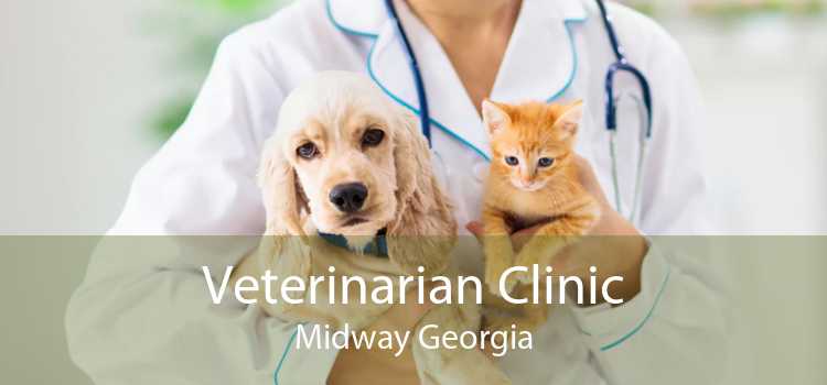 Veterinarian Clinic Midway Georgia