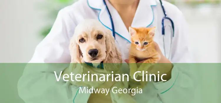 Veterinarian Clinic Midway Georgia