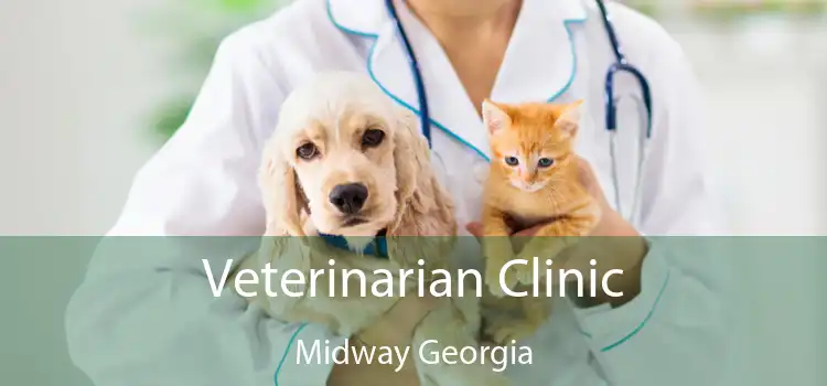 Veterinarian Clinic Midway Georgia