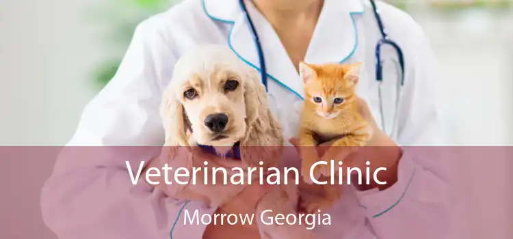 Veterinarian Clinic Morrow Georgia