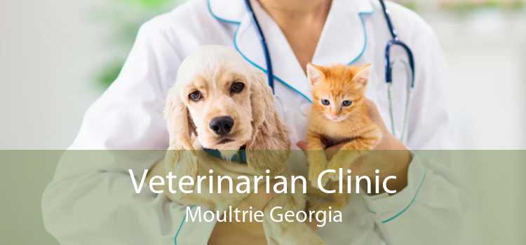 Veterinarian Clinic Moultrie Georgia
