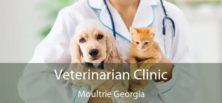 Veterinarian Clinic Moultrie Georgia