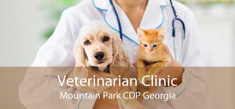 Veterinarian Clinic Mountain Park CDP Georgia