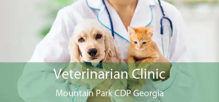 Veterinarian Clinic Mountain Park CDP Georgia