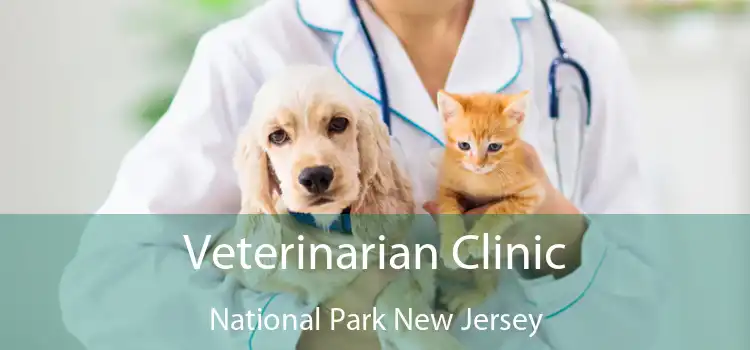 Veterinarian Clinic National Park New Jersey