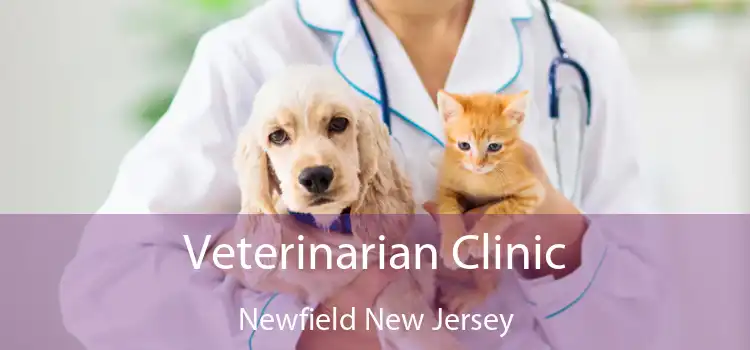 Veterinarian Clinic Newfield New Jersey