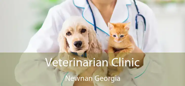 Veterinarian Clinic Newnan Georgia