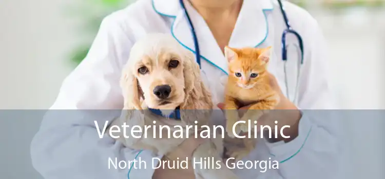 Veterinarian Clinic North Druid Hills Georgia