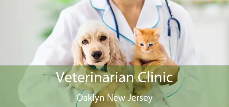 Veterinarian Clinic Oaklyn New Jersey