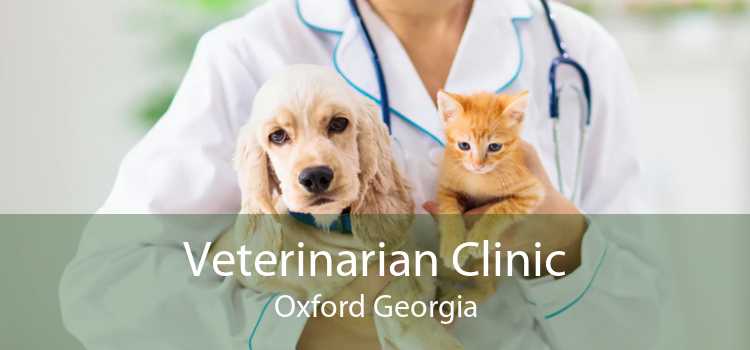 Veterinarian Clinic Oxford Georgia