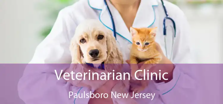 Veterinarian Clinic Paulsboro New Jersey