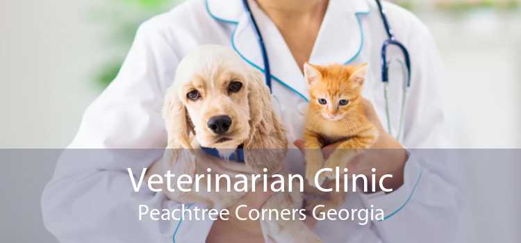 Veterinarian Clinic Peachtree Corners Georgia