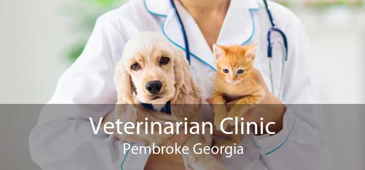 Veterinarian Clinic Pembroke Georgia
