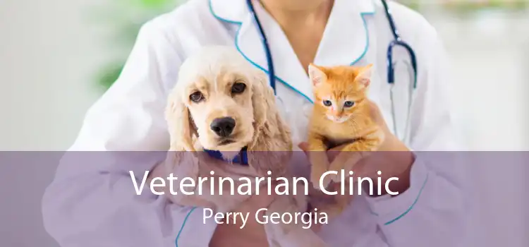 Veterinarian Clinic Perry Georgia