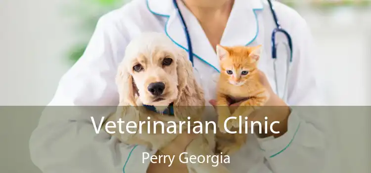 Veterinarian Clinic Perry Georgia