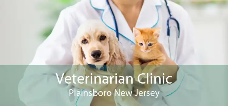 Veterinarian Clinic Plainsboro New Jersey