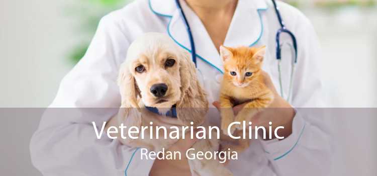 Veterinarian Clinic Redan Georgia