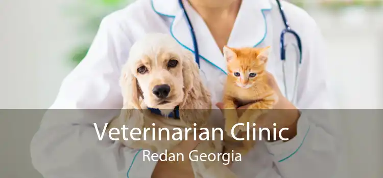 Veterinarian Clinic Redan Georgia