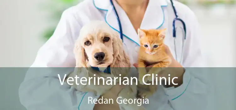 Veterinarian Clinic Redan Georgia