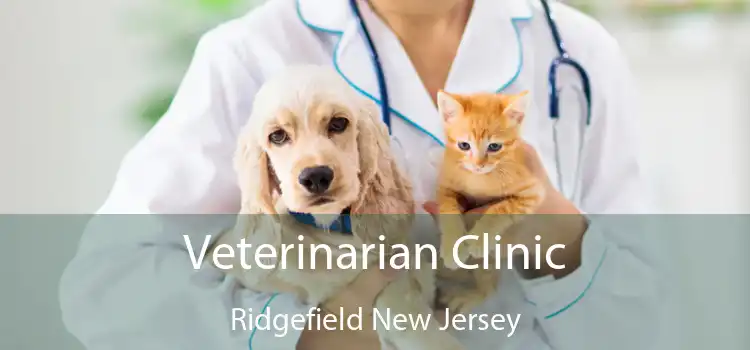 Veterinarian Clinic Ridgefield New Jersey