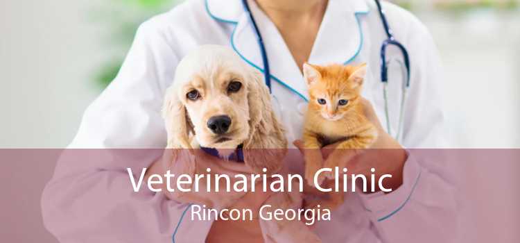 Veterinarian Clinic Rincon Georgia