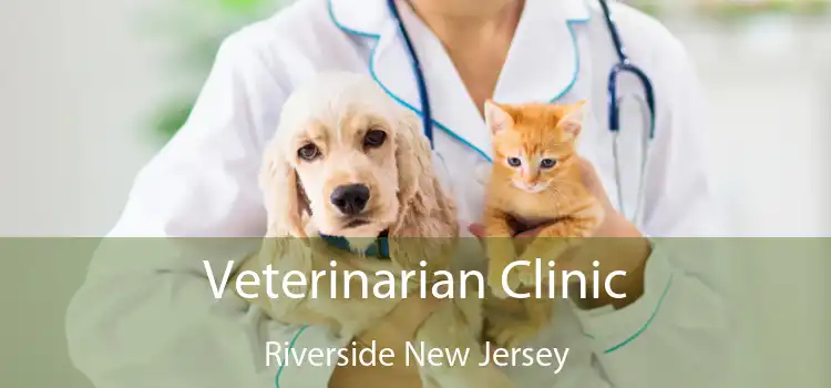 Veterinarian Clinic Riverside New Jersey