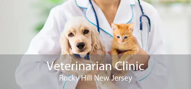 Veterinarian Clinic Rocky Hill New Jersey