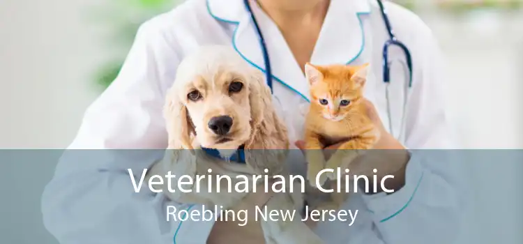 Veterinarian Clinic Roebling New Jersey