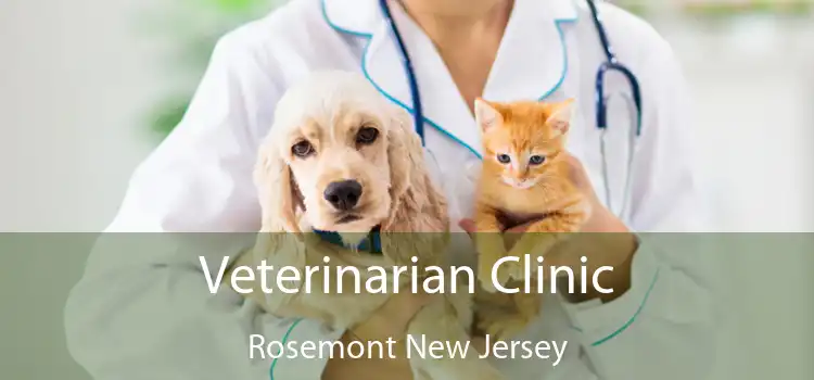 Veterinarian Clinic Rosemont New Jersey