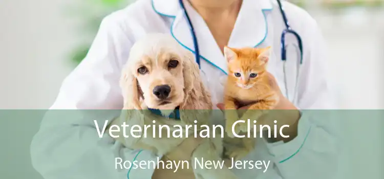 Veterinarian Clinic Rosenhayn New Jersey