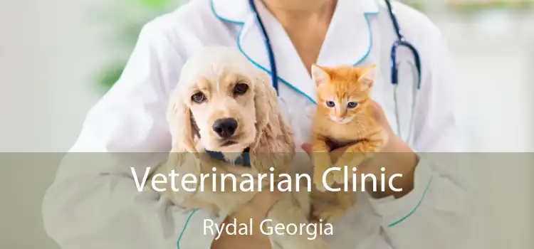 Veterinarian Clinic Rydal Georgia