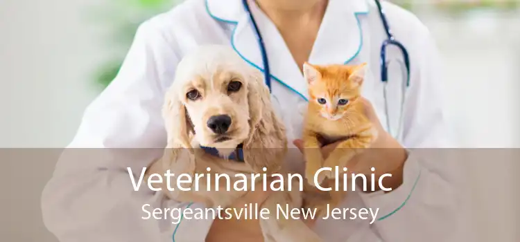 Veterinarian Clinic Sergeantsville New Jersey