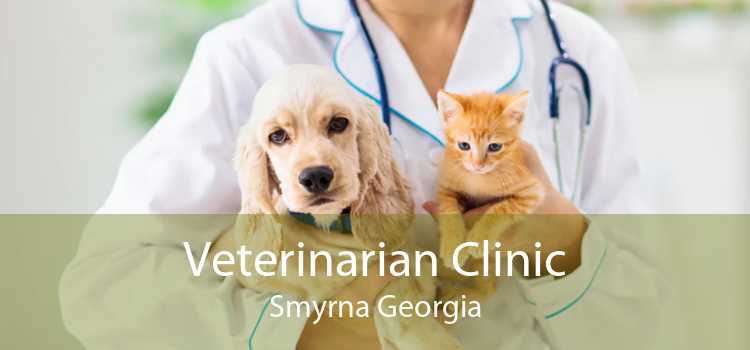 Veterinarian Clinic Smyrna Georgia