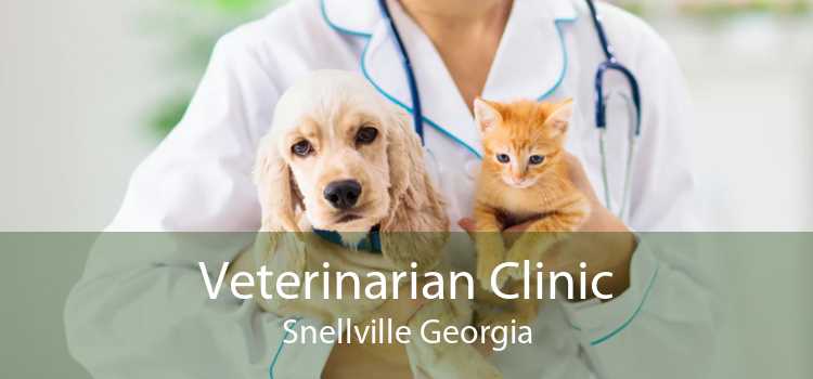 Veterinarian Clinic Snellville Georgia
