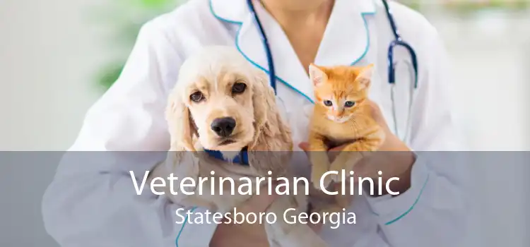 Veterinarian Clinic Statesboro Georgia