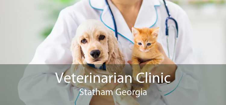 Veterinarian Clinic Statham Georgia