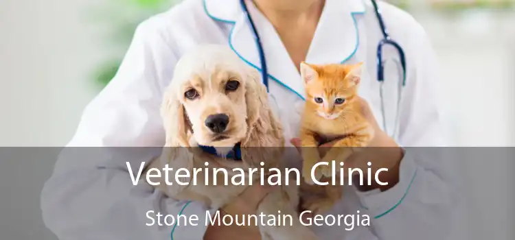 Veterinarian Clinic Stone Mountain Georgia