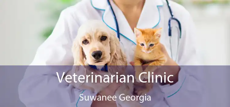 Veterinarian Clinic Suwanee Georgia