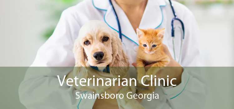 Veterinarian Clinic Swainsboro Georgia