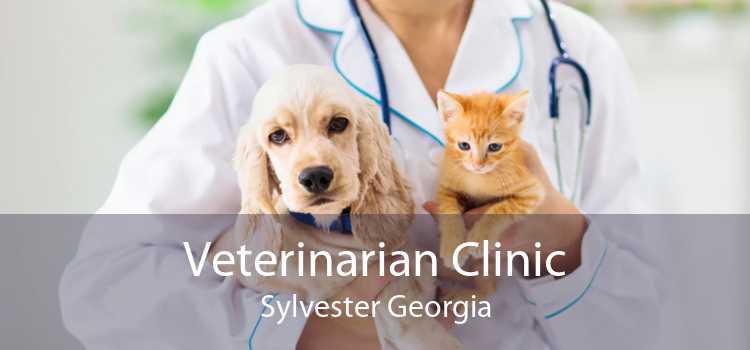 Veterinarian Clinic Sylvester Georgia