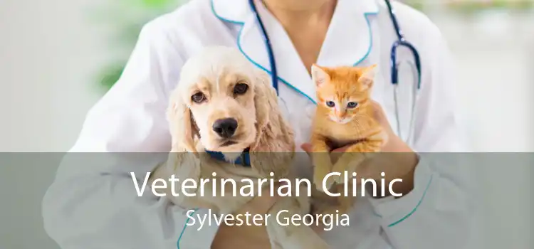 Veterinarian Clinic Sylvester Georgia